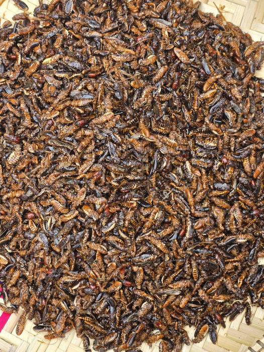 KUMBIKUMBI