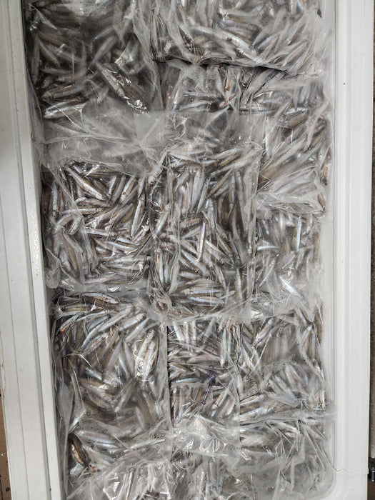 Frozen sardines (Dagaa Mbichi)