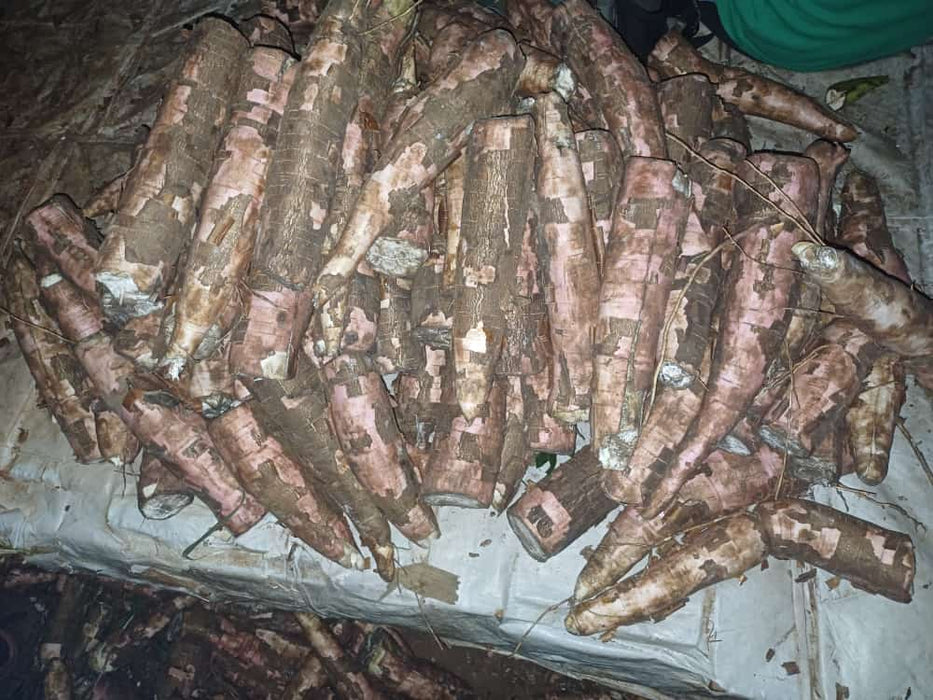 Mihogo (Cassava)