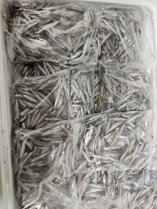 Frozen sardines (Dagaa Mbichi)